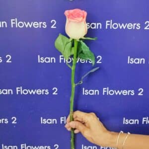 Add-On Big Rose - Pink