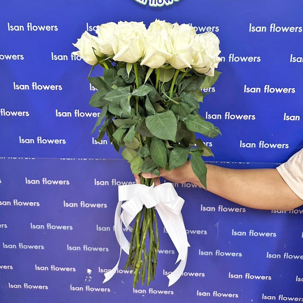 15 big white roses stems only
