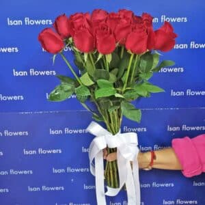 15-35 Big Red Roses - Stems Only