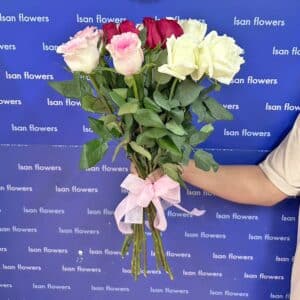 15-45 Big Red, Pink & White Roses - Stems Only