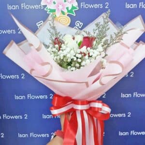 9-25 Big Red & White Roses in Pink - Round Bouquet A