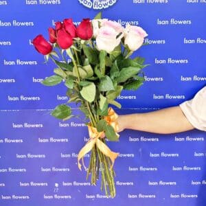 15-51 Big Red & Pink Roses - Stems Only