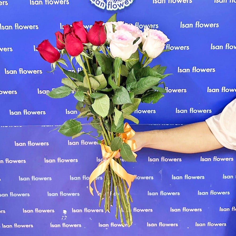 8 red and 7 pink big roses stems only