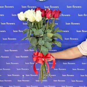 15-51 Big Red & White Roses - Stems Only
