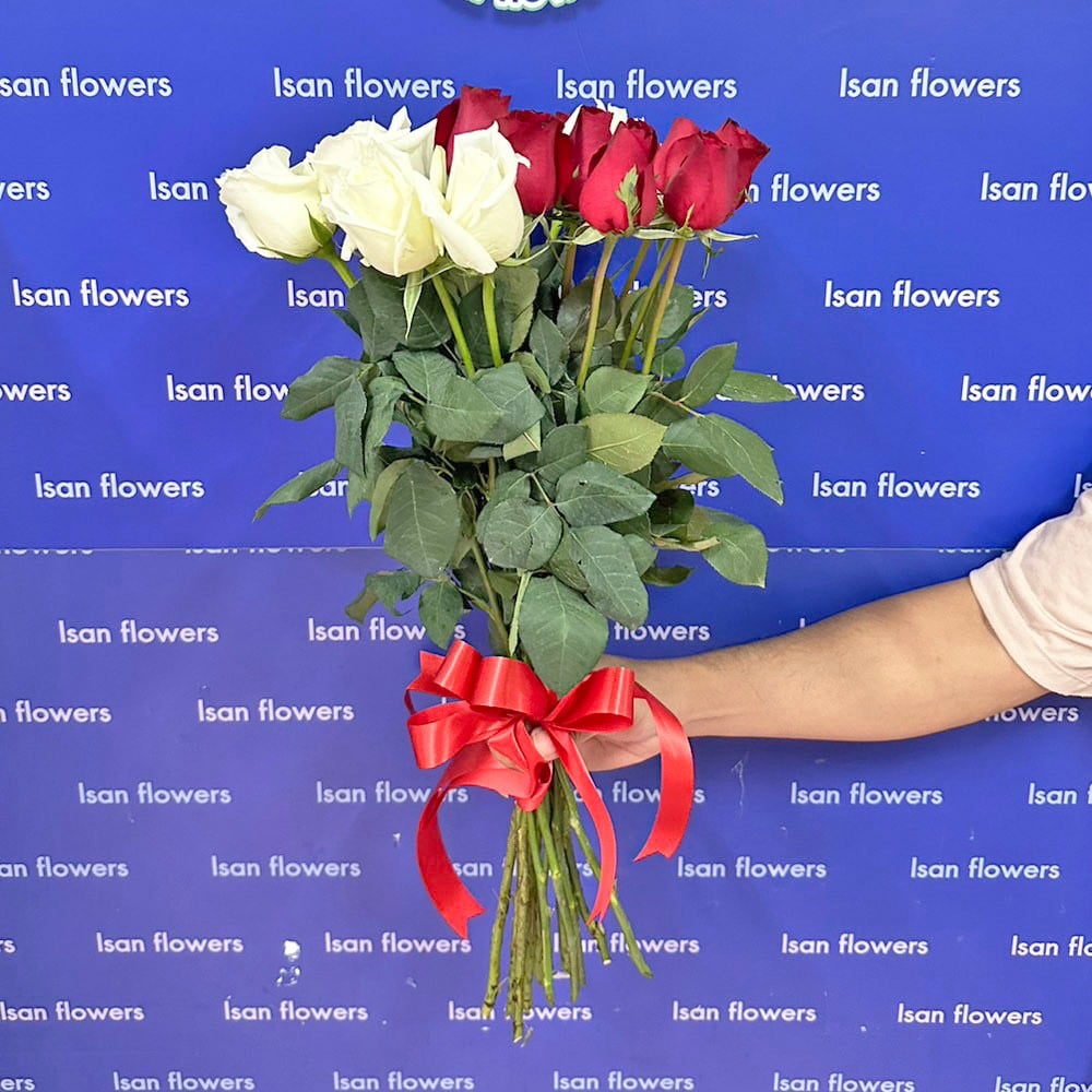 8 red and 7 white big roses stems only