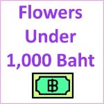 flowers under 1000 baht pre