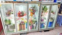 isan flowers 2 chiller cabinets small photo