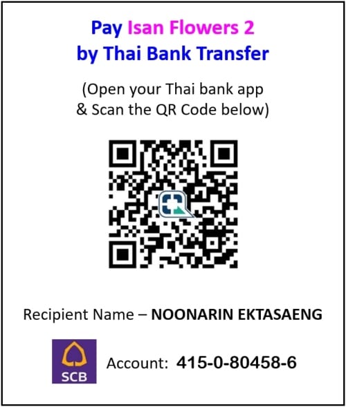 pay isan flowers 2 by thai bank transfer scb account details