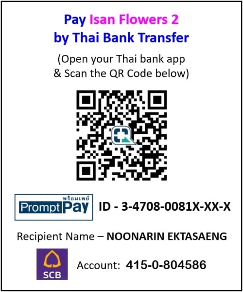 pay isan flowers 2 by thai bank transfer scb