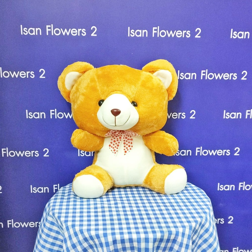 small brown and white bear soft toy a