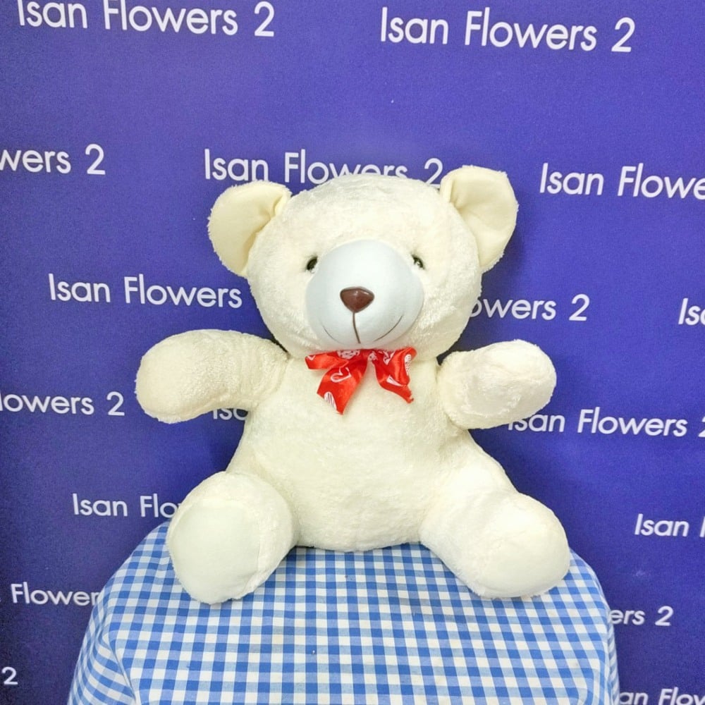 small white bear soft toy a