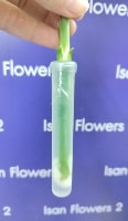 stem only water container